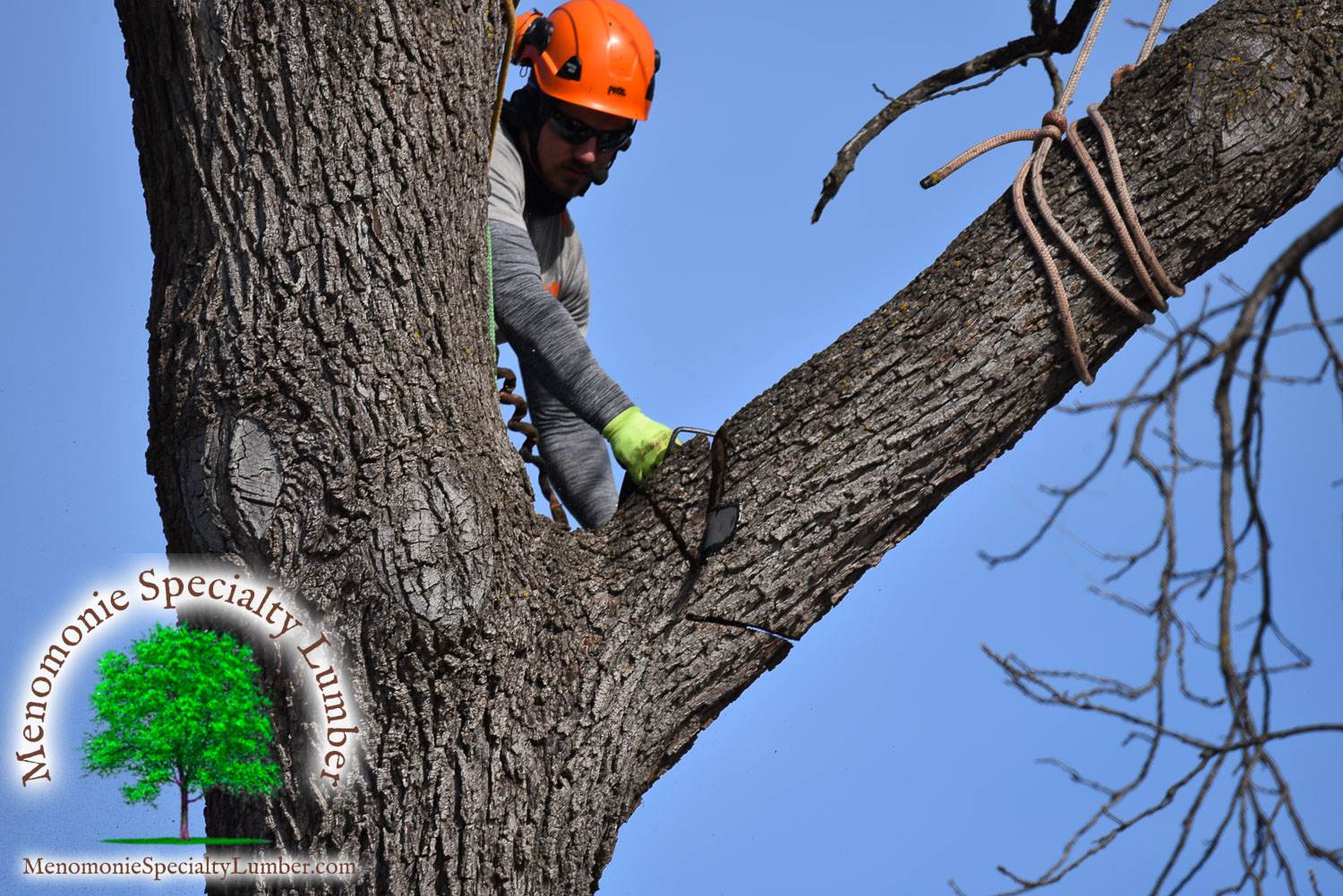 removal mn, tree Durham CA maple grove service